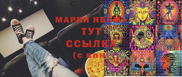 СК Бронницы