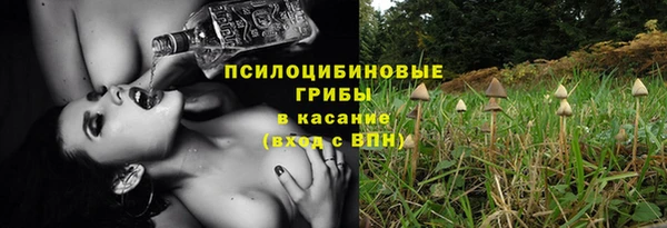 apvp Строитель